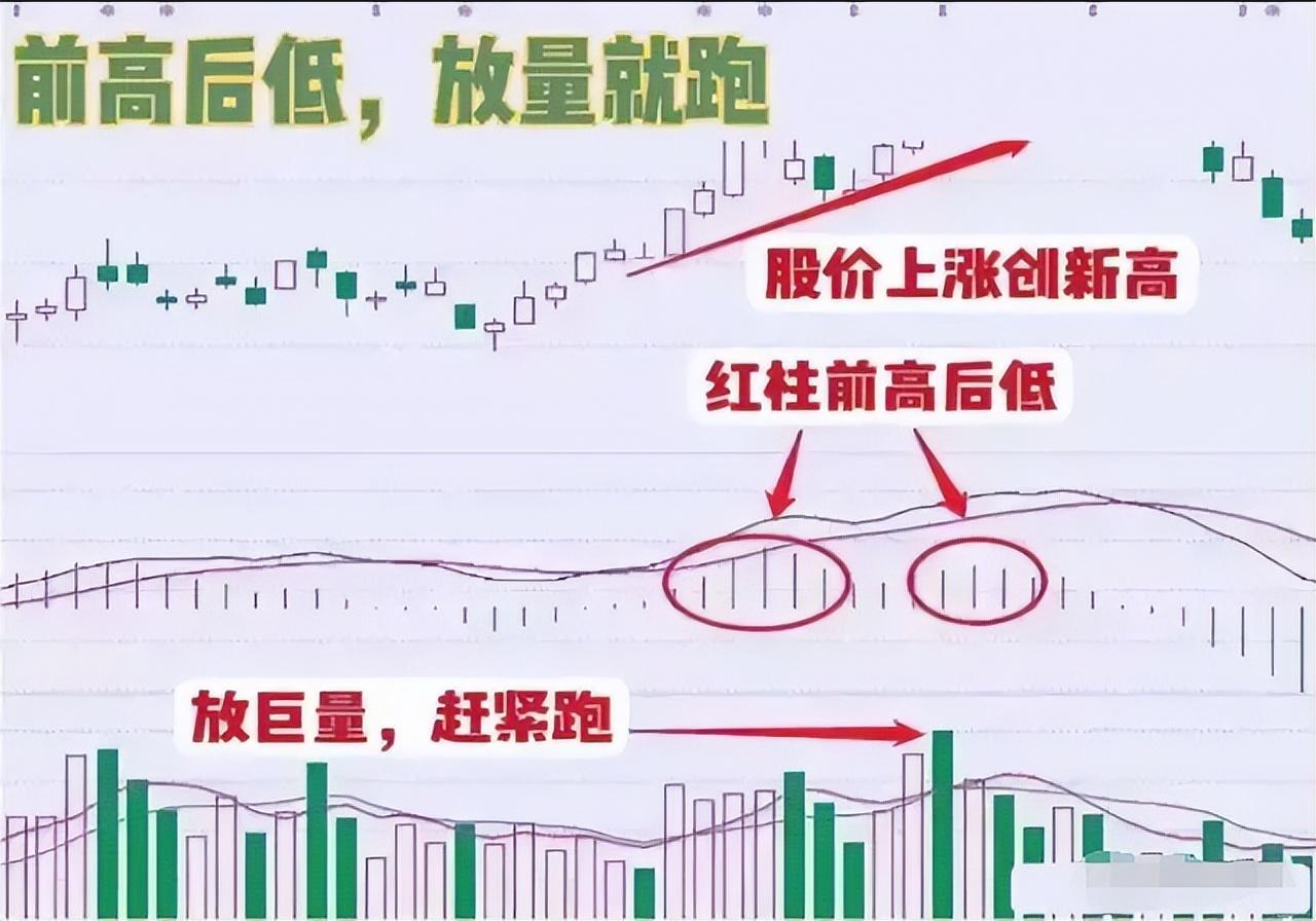中国股市以炒股为生的人到底是什么样的？文章很短意味很深