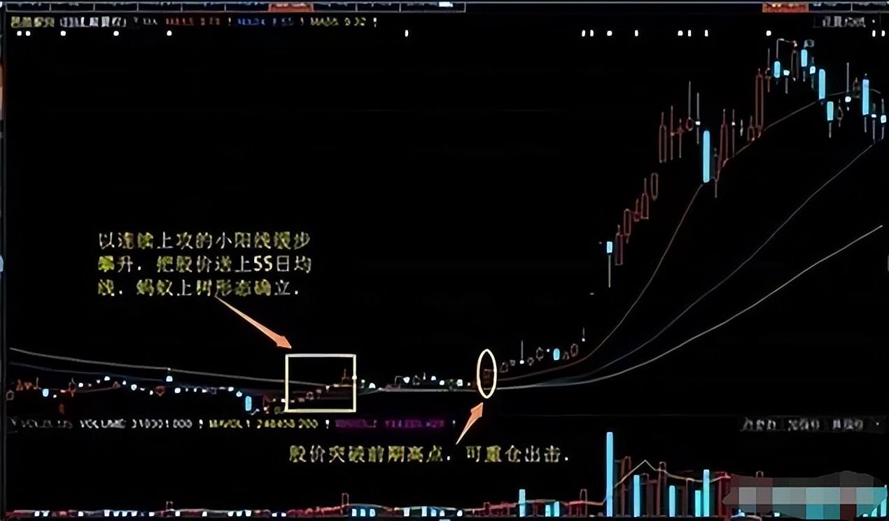 中国股市短线交易忌讳大多数散户找不到亏损的原因必读此文