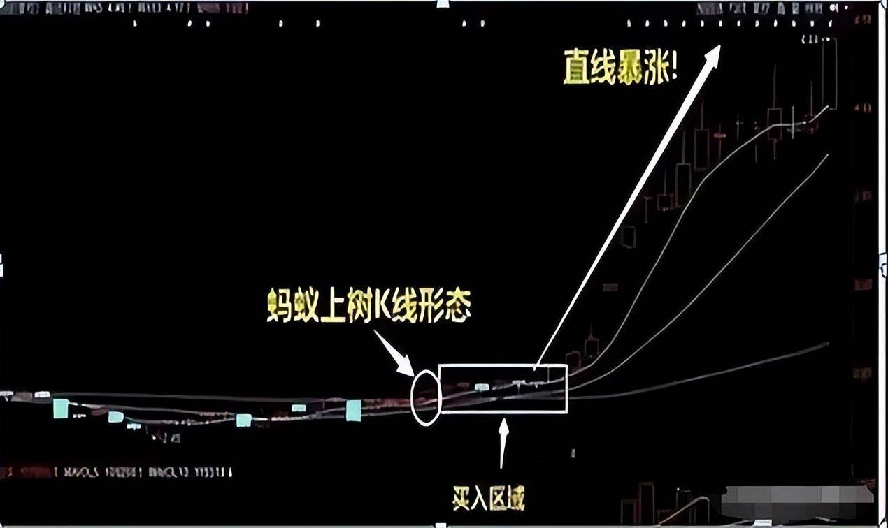 中国股市短线交易忌讳大多数散户找不到亏损的原因必读此文