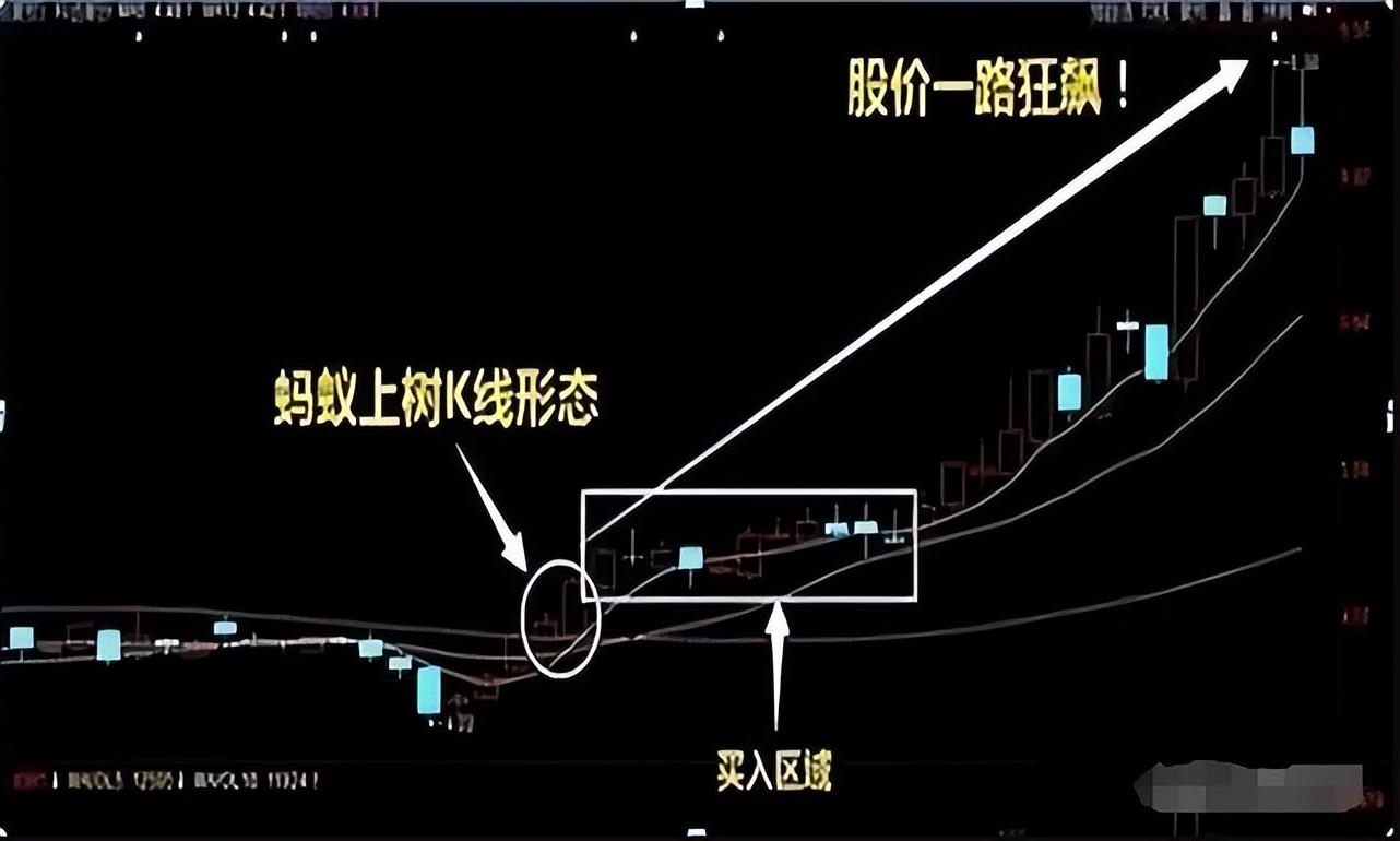 中国股市短线交易忌讳大多数散户找不到亏损的原因必读此文