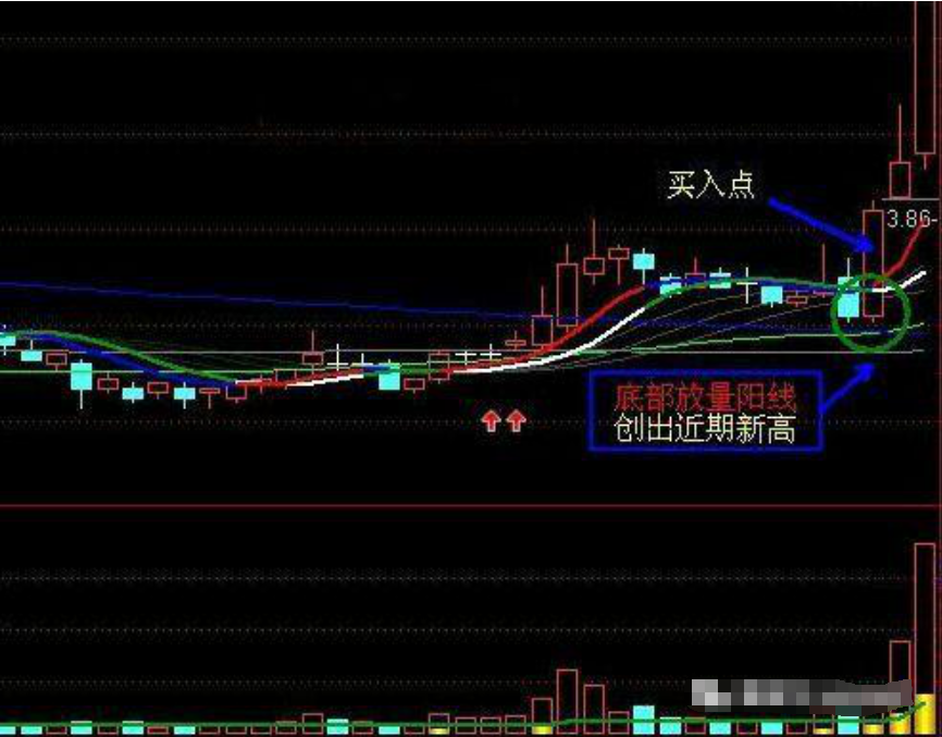 中国股市不管你信不信无论牛熊与否这类人一直在赚钱谨记
