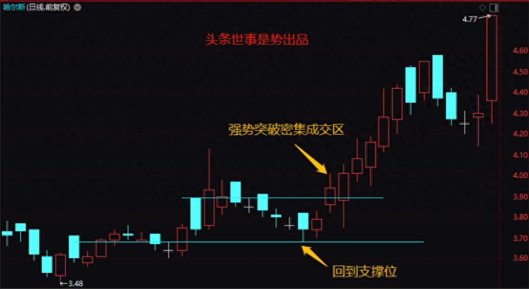 一位北大女博士直言掌握K线密码关键位置的关键表现定强弱！