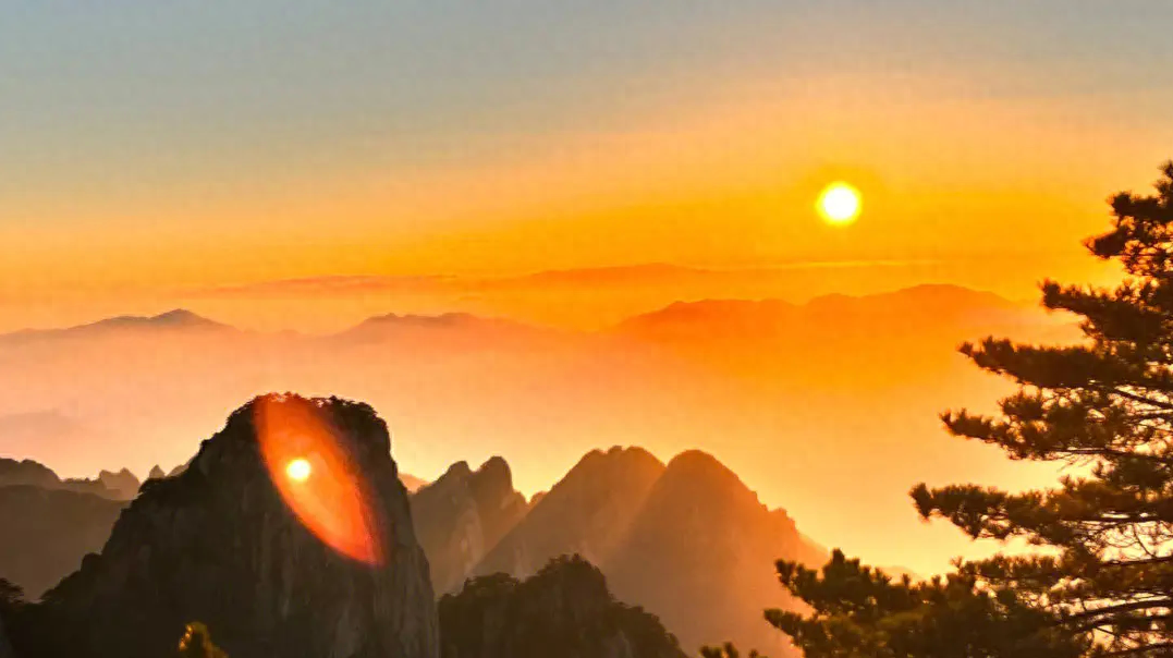 没有人天生就是驾驭市场的王者如此辉煌的背后也有数不尽的辛酸