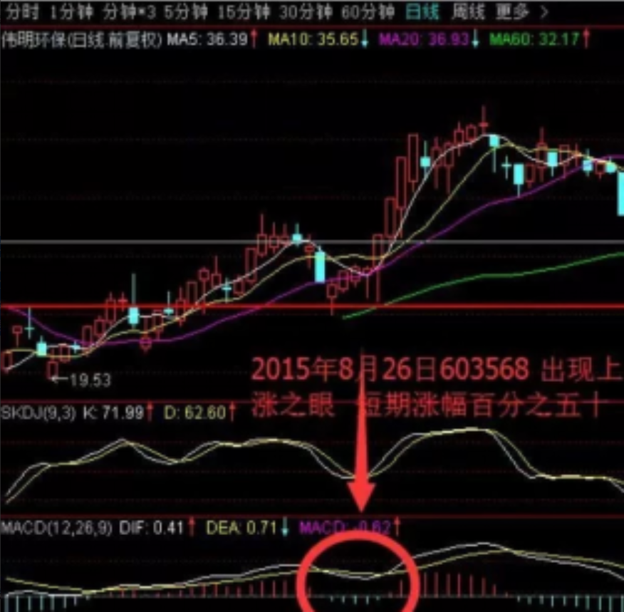 三年内从亏损70w到盈利600w只因我悟透MACD操盘必杀绝技