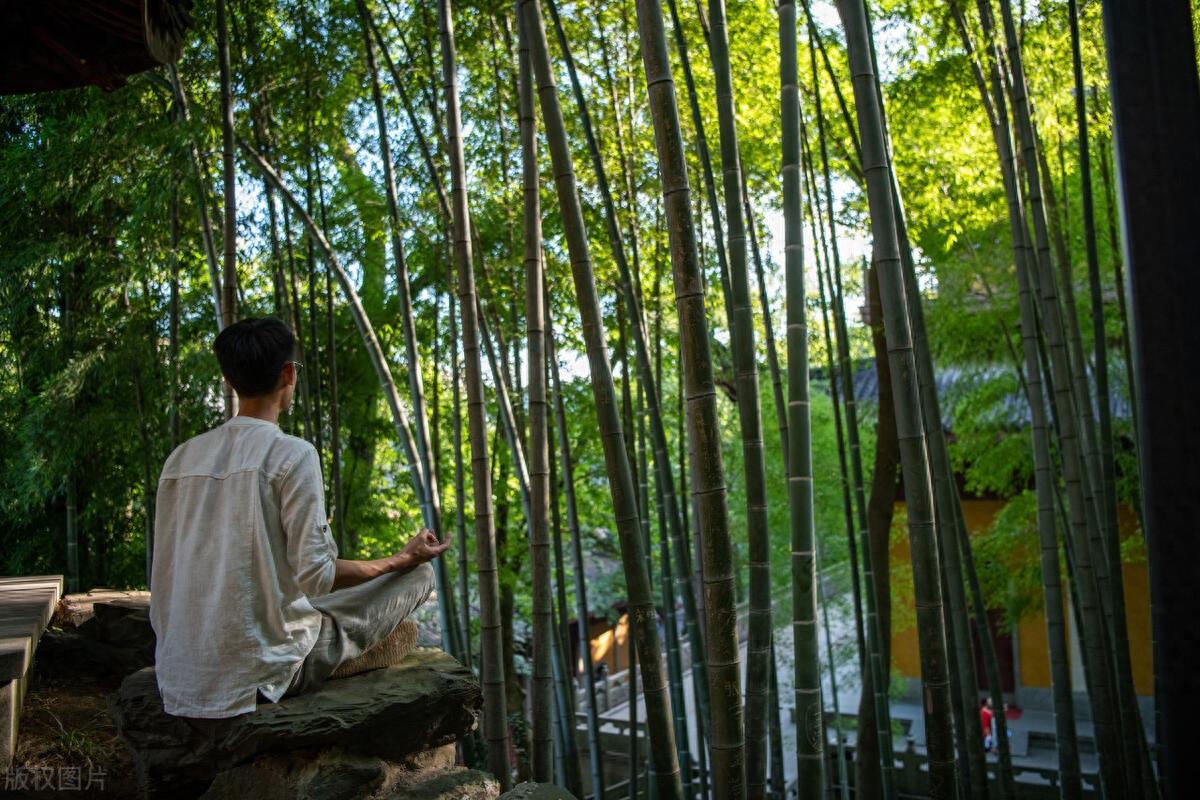 炒股真的可以致富吗？此文献给还在股市中迷茫的散户们值得深读