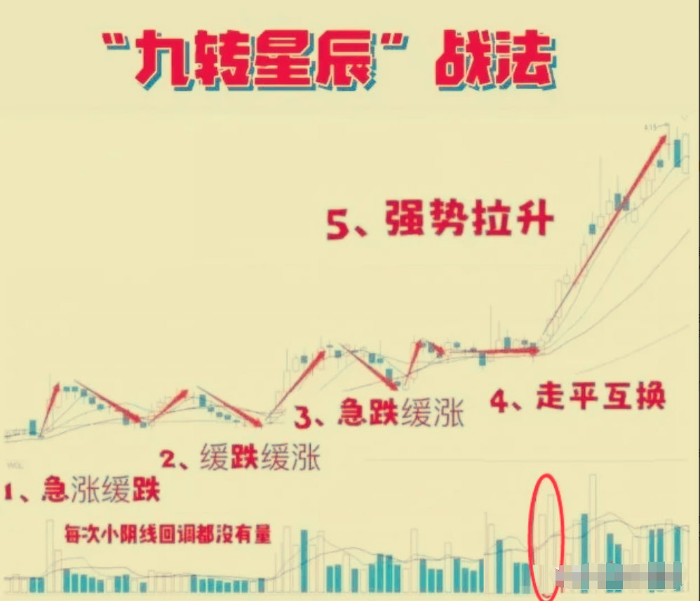 17个月从5万本金运作到300万只因牢记这套RSI指标买卖法