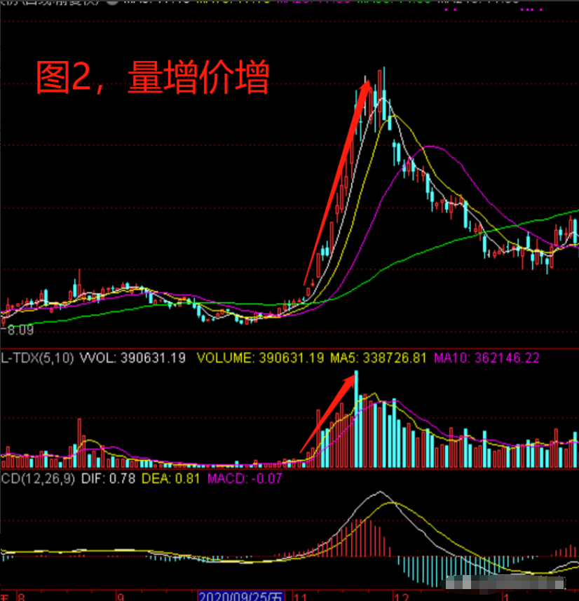 写给亏损的散户炒股十五年总结出来黄金八铁律悟透即可获利