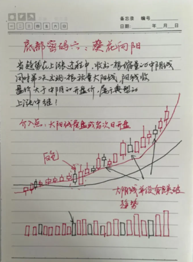 牛市为什么不能解决多数人亏损的问题此文告诉你答案十分透彻