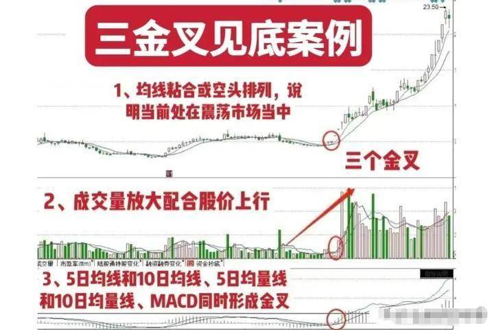 清华28岁金融女博士直言明知炒股十炒九亏为什么还坚持那么做