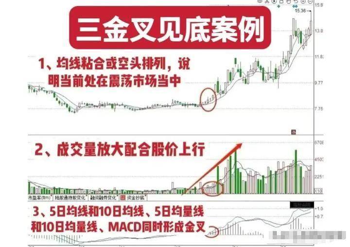 清华28岁金融女博士直言明知炒股十炒九亏为什么还坚持那么做