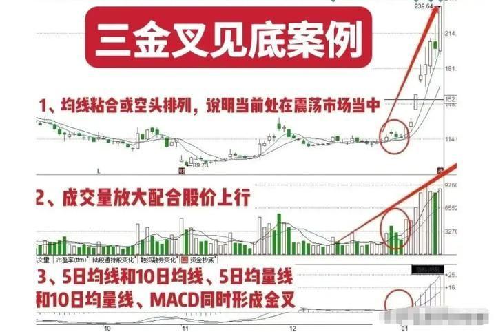 清华28岁金融女博士直言明知炒股十炒九亏为什么还坚持那么做