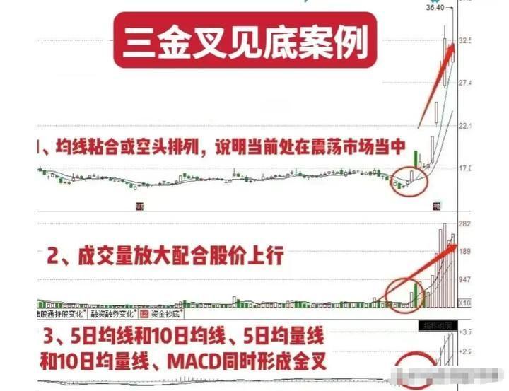 清华28岁金融女博士直言明知炒股十炒九亏为什么还坚持那么做