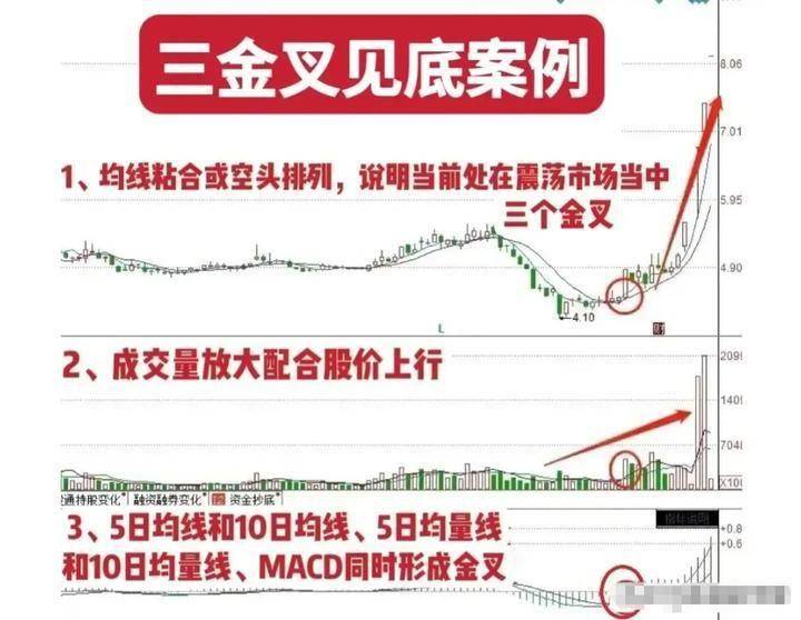 清华28岁金融女博士直言明知炒股十炒九亏为什么还坚持那么做