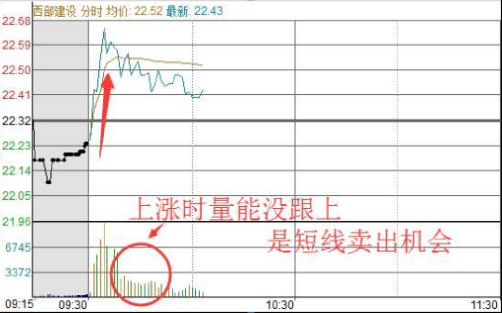 中国股市一辈子只买一只股反复做T5w资金一年内至少翻50倍