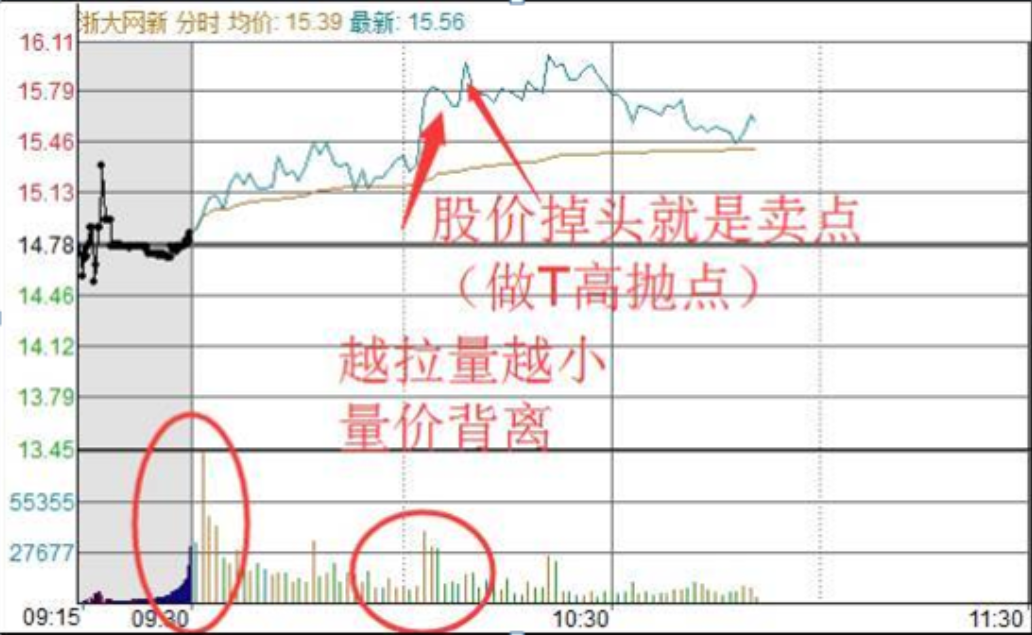 中国股市一辈子只买一只股反复做T5w资金一年内至少翻50倍