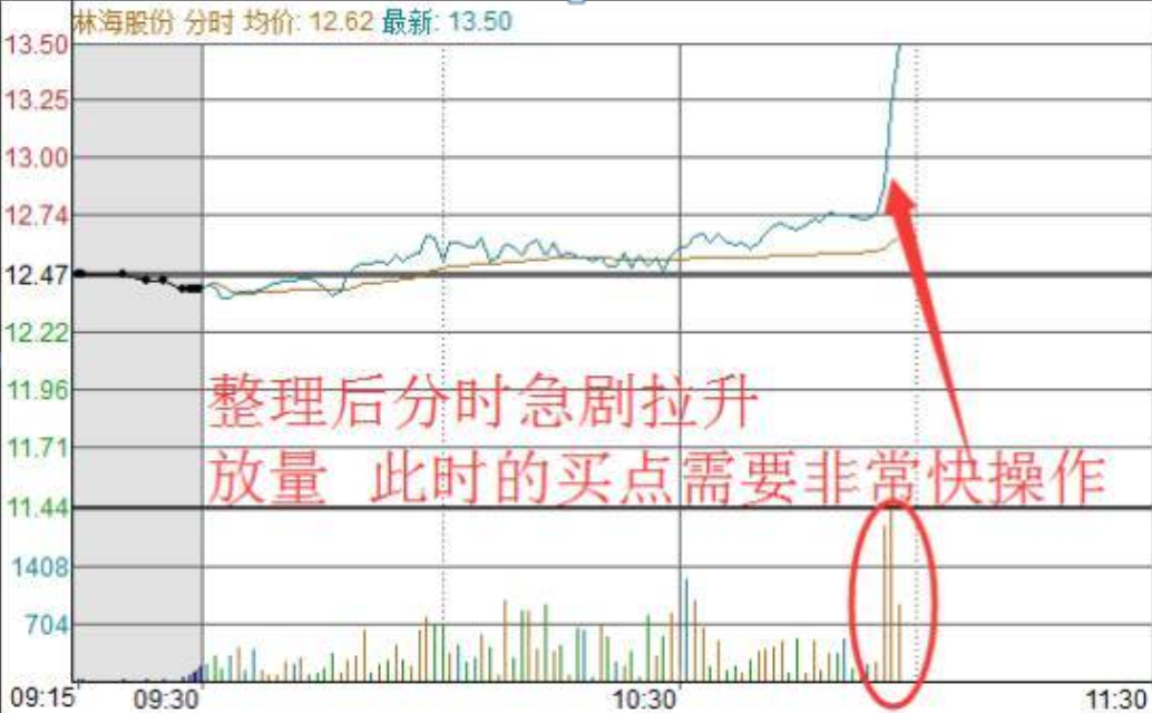 中国股市一辈子只买一只股反复做T5w资金一年内至少翻50倍