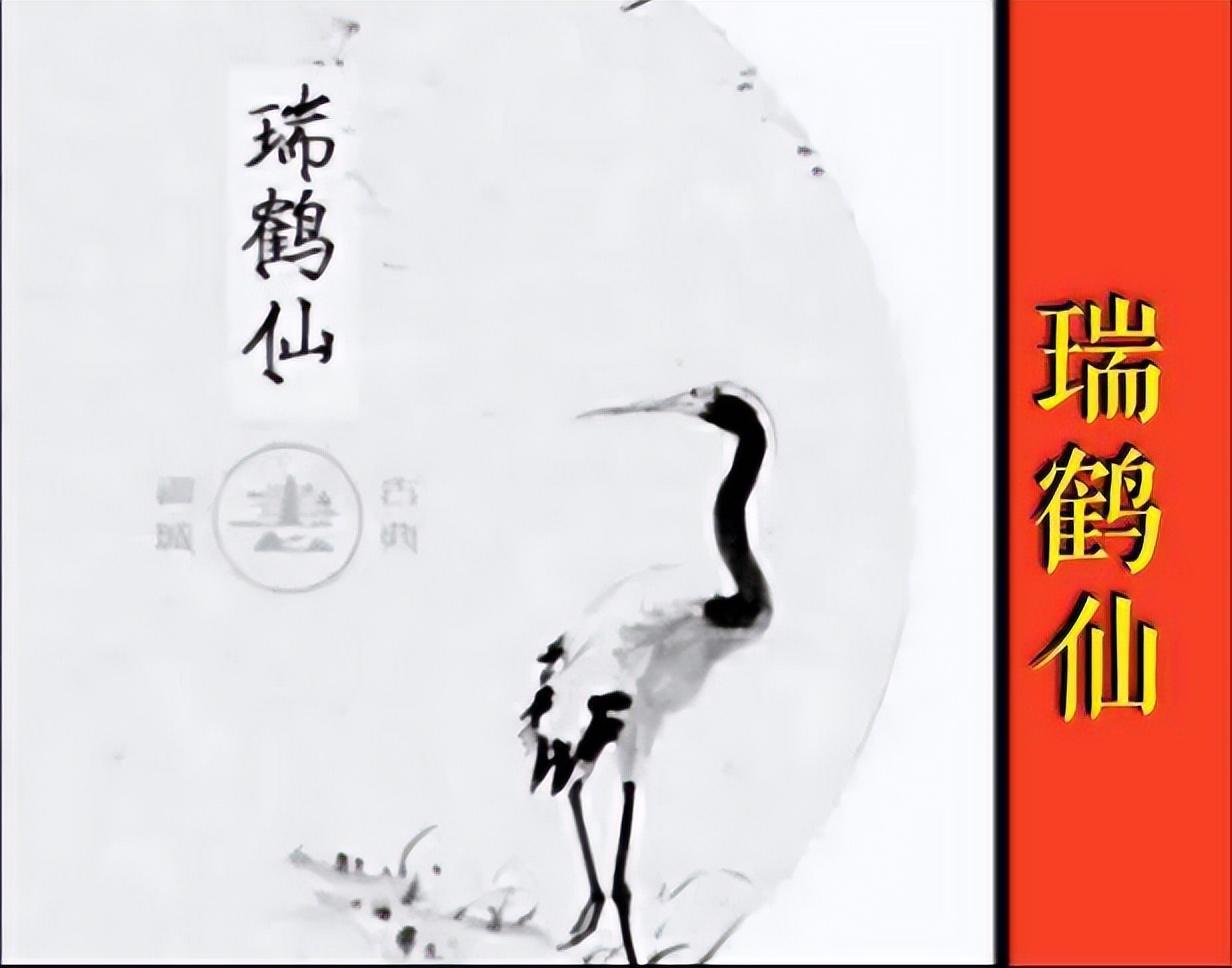 巴菲特点破中国股市用最笨最简单的方法最赚钱看完大彻大悟