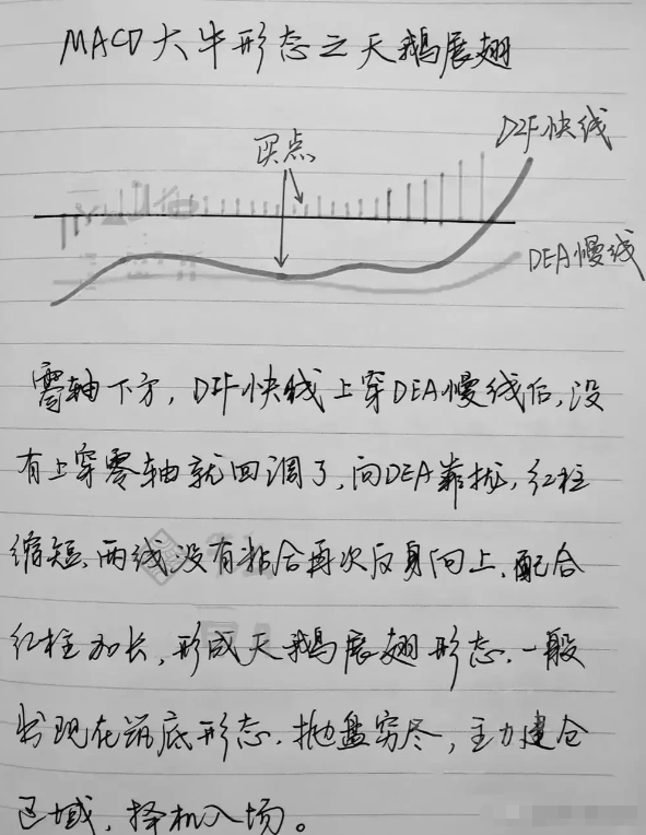 中国股市炒股开悟的人究竟悟到了什么？此文揭露炒股的本质