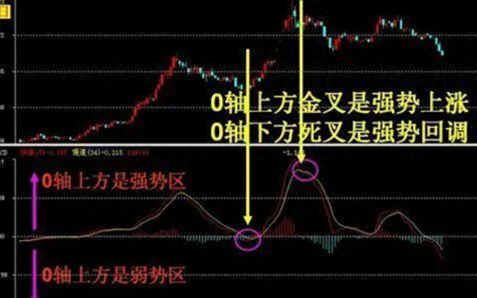 终于有人把MACD说透彻了死啃红柱绿柱远比金叉死叉准确