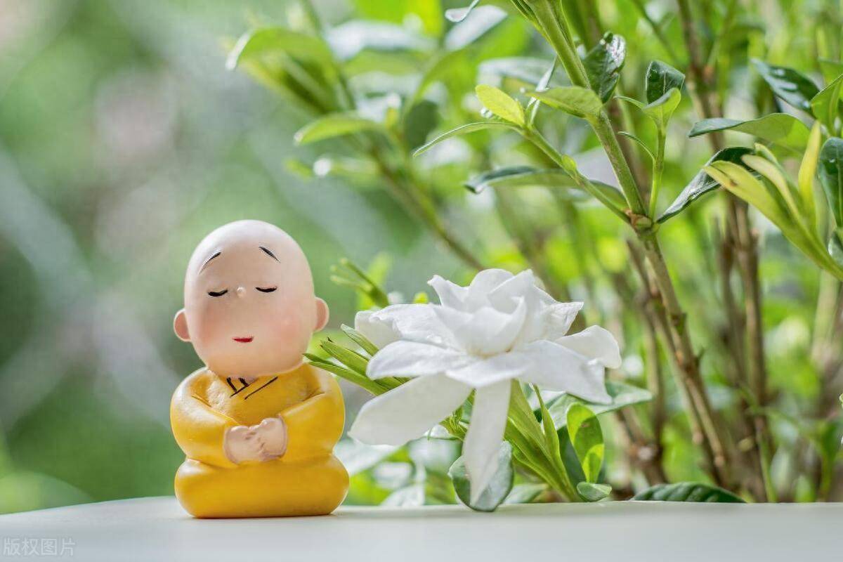 股票干货教你如何看集合竞价并判断强弱？学会受用终身