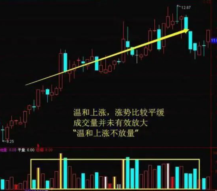 股市真正赚钱的人多少散户活成了赌徒的样子？不要再执迷不悟了