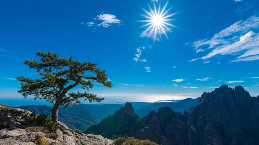 速读！金融大佬解答一只股票股价尾盘突然拉高这意味着什么