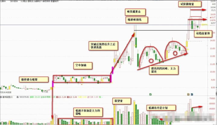 炒股这么难为什么你还在坚持？老股民肺腑之言值得散户深思！