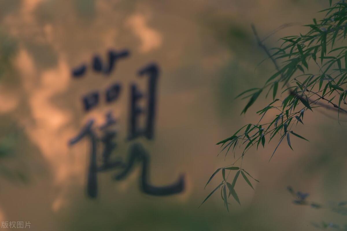 如何才能成为炒股高手将股市变成自己的提款机呢？此文值得深读