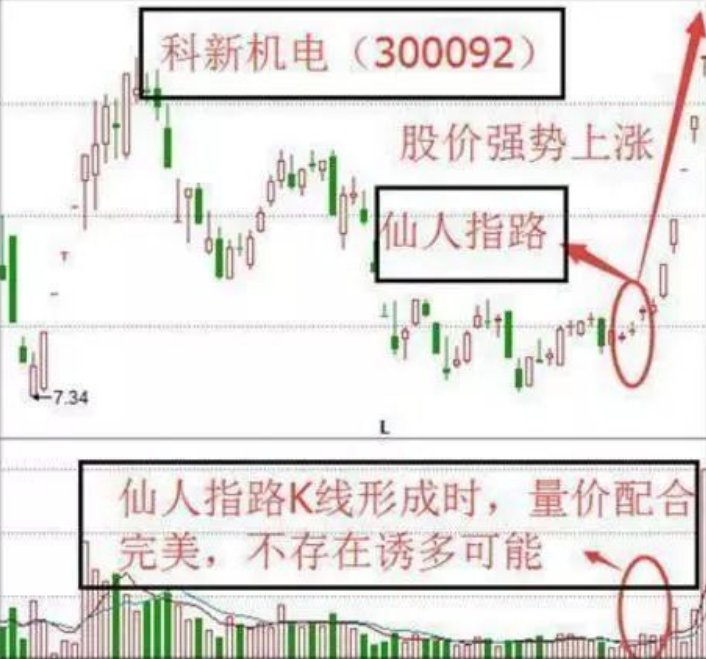 相信自己能抄着底的人是傻子,指望自己能成功逃顶的人则是疯子！