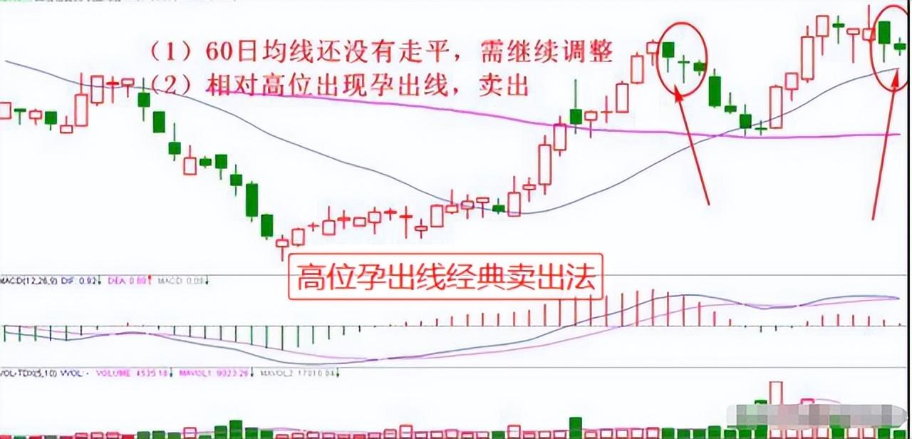 中国股市里真正赚钱的一种人耐心比什么都重要这才是大道至简