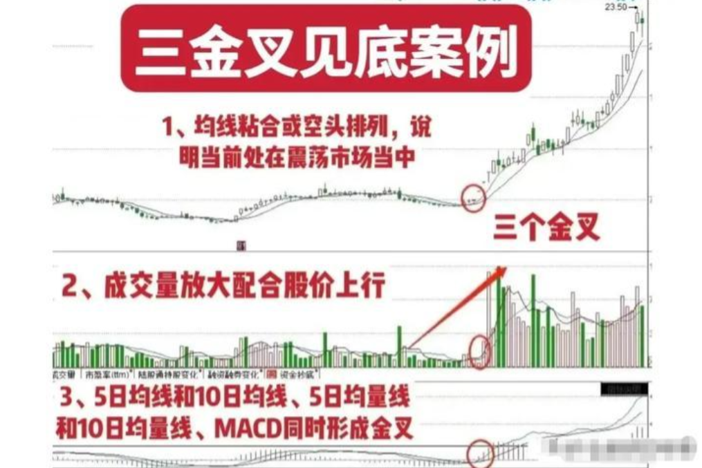 在股市亏掉80之后开始正确打磨自己的投资模式最终扭亏为盈