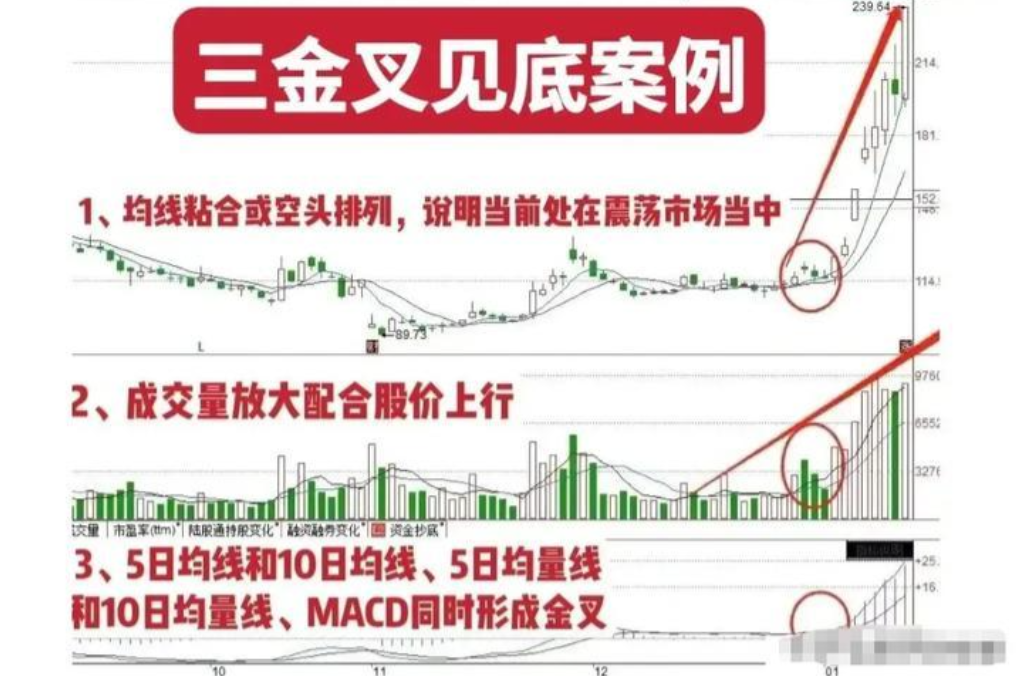 在股市亏掉80之后开始正确打磨自己的投资模式最终扭亏为盈