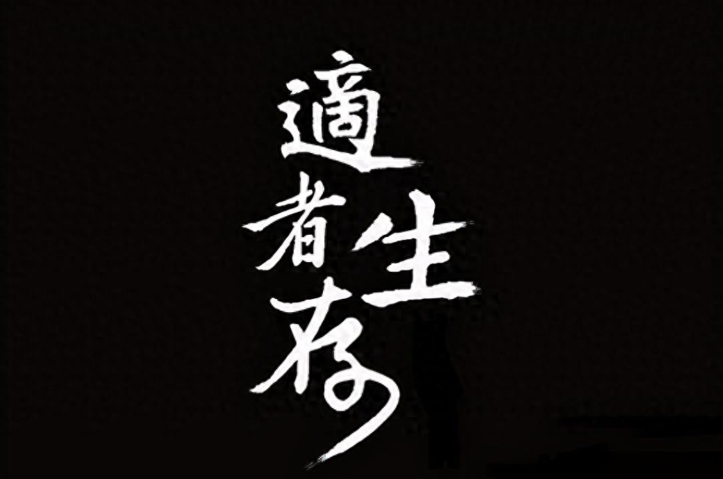 适者生存真正的炒股高手一直谨记的股市铁律成功不是一朝夕