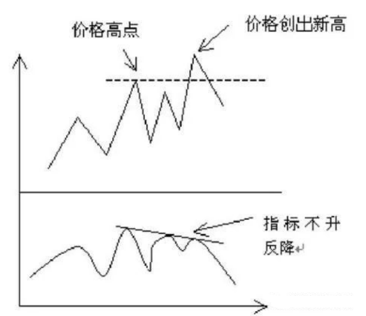 适者生存真正的炒股高手一直谨记的股市铁律成功不是一朝夕