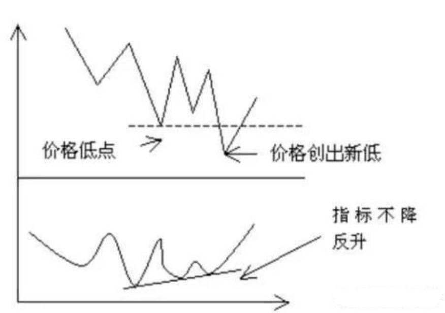 适者生存真正的炒股高手一直谨记的股市铁律成功不是一朝夕