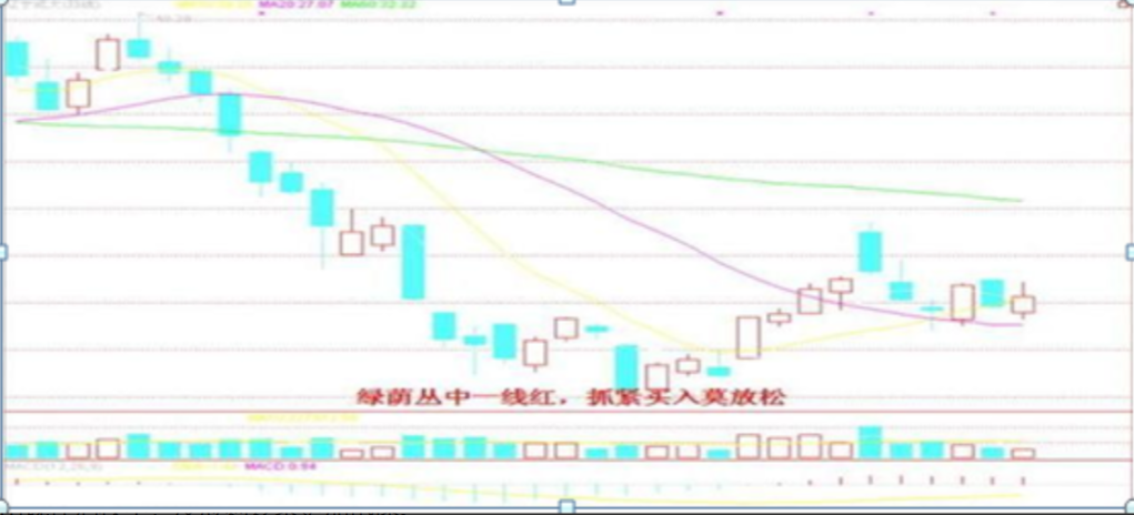 适者生存真正的炒股高手一直谨记的股市铁律成功不是一朝夕