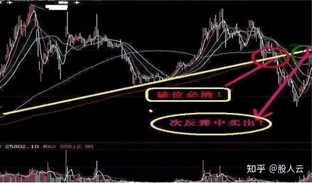股票被套怎么办？死拿割肉还是做T。熟读此文告别韭菜命运！