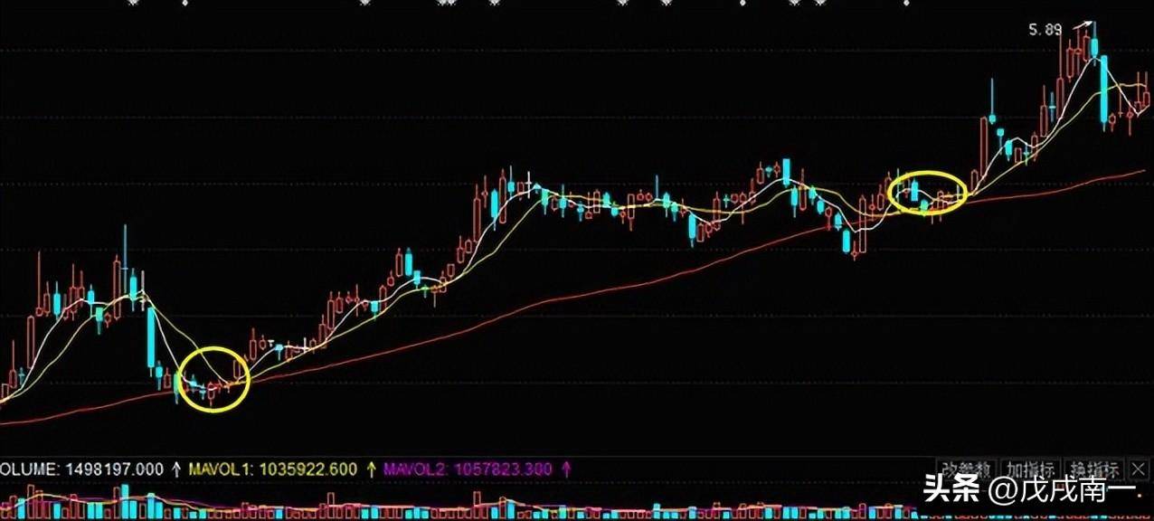 行情千变万化趋势交易才是王道！这才是交易的真正精髓