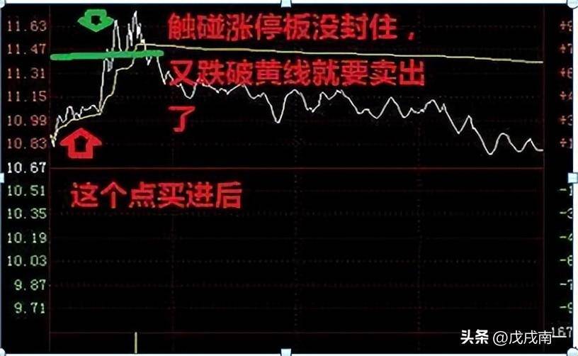 最高境界把一只股票做到极致！直接疯狂盈利800第一炒股秘诀