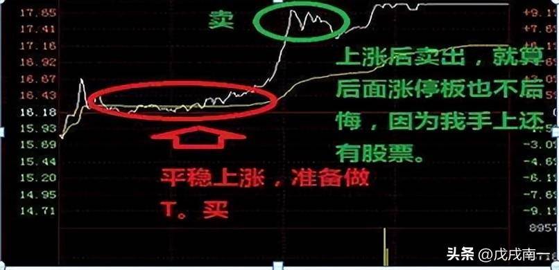 最高境界把一只股票做到极致！直接疯狂盈利800第一炒股秘诀