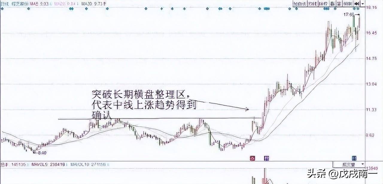老股民直言长期持有一只股坚持反复做T年年赚得盆满钵满！