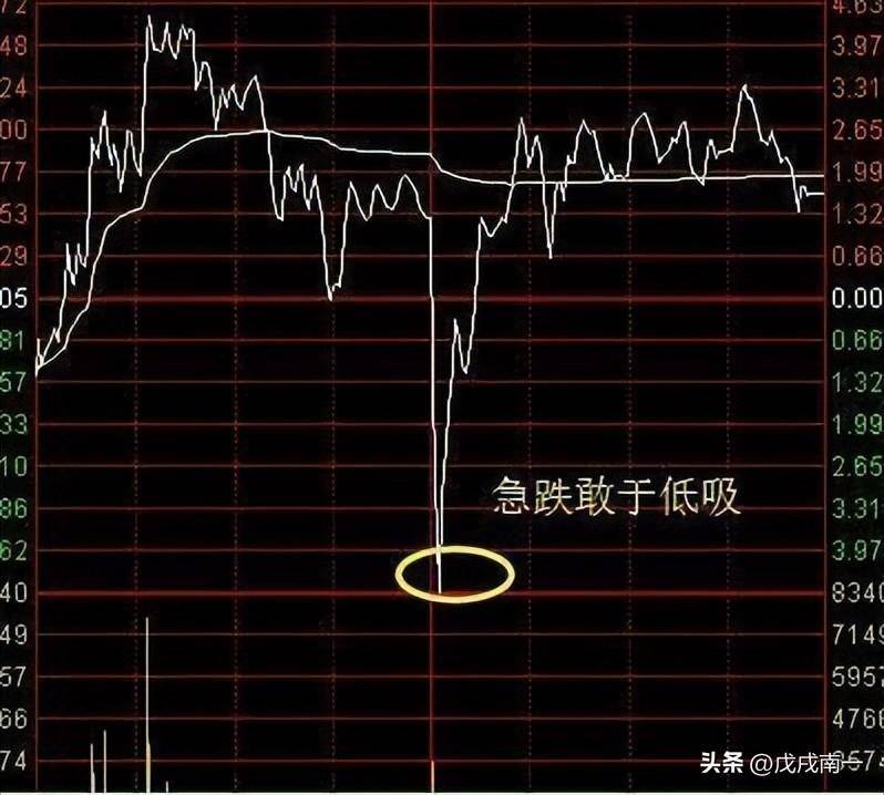 老股民直言长期持有一只股坚持反复做T年年赚得盆满钵满！