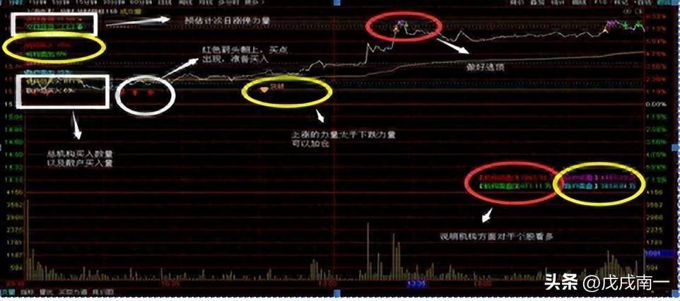 老股民直言长期持有一只股坚持反复做T年年赚得盆满钵满！
