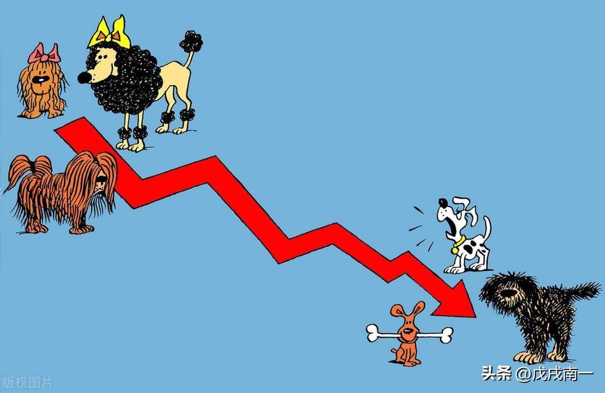 十三年职业老股民为什么大部分股民都是赔钱的？原因找到了！