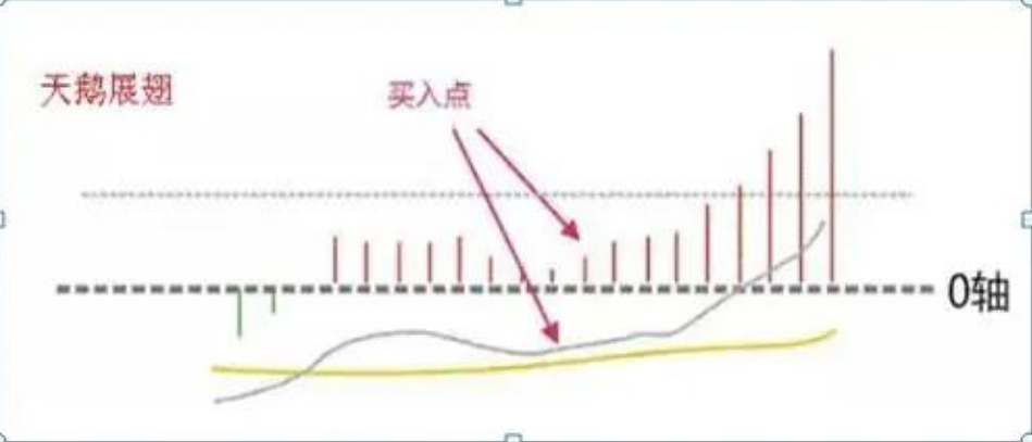 为什么80的散户炒股都赔钱？因为他们连散户思维都不知道
