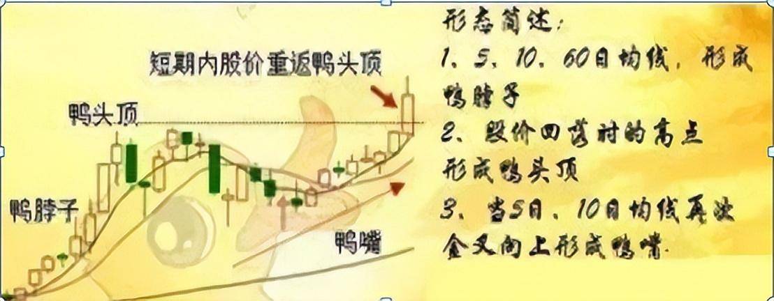 炒股能发财的只有一种人简单的事情重复做价值连城的炒股哲学