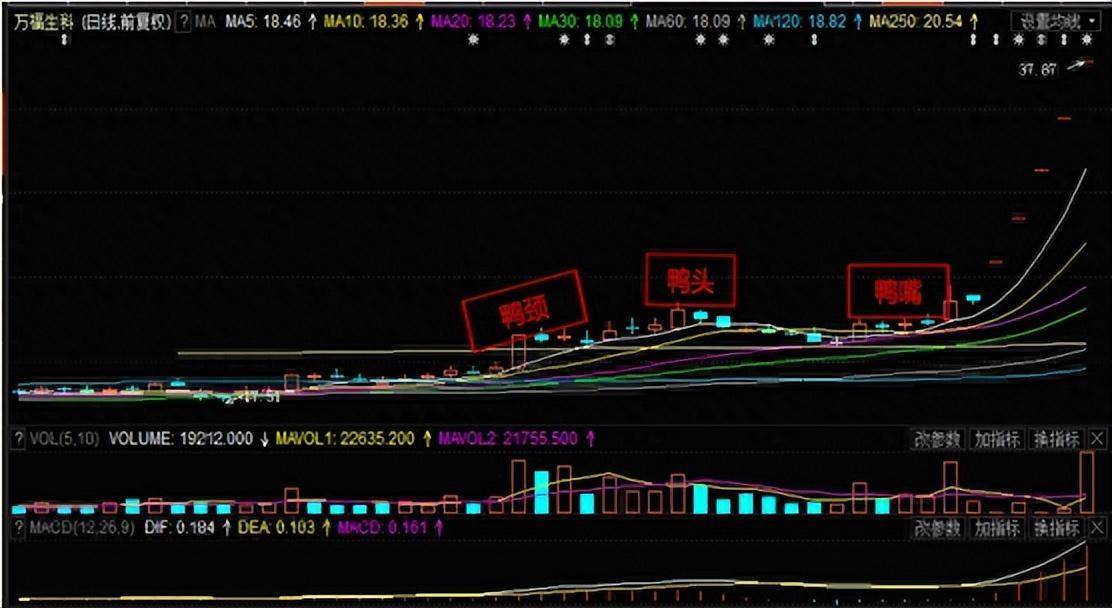 炒股能发财的只有一种人简单的事情重复做价值连城的炒股哲学