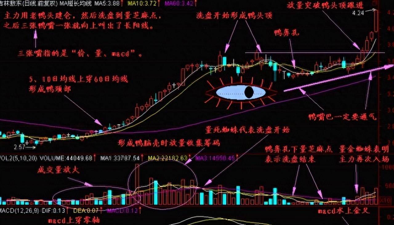 炒股能发财的只有一种人简单的事情重复做价值连城的炒股哲学