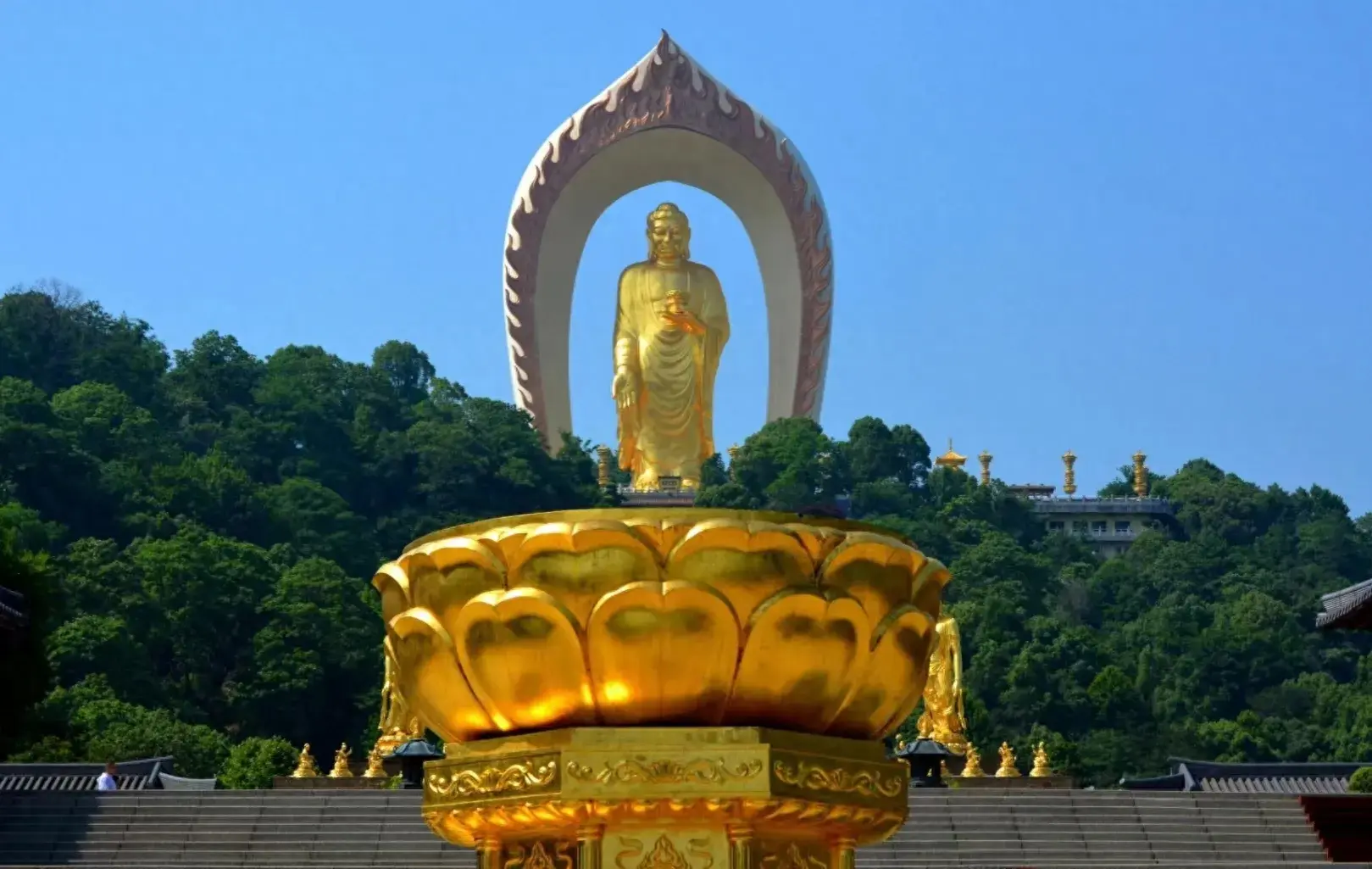 这个阶段真正拿住一些股票如果押注份量还足够必将大富大贵