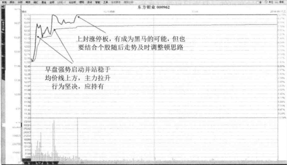 中国股市只看尾盘半小时逢买就涨